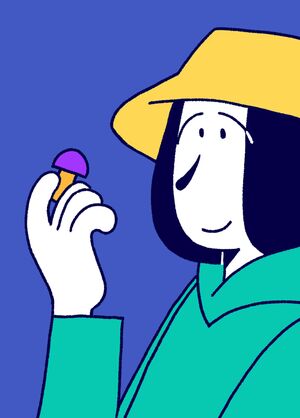 Сбор грибов