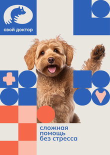 СВОЙ ДОКТОР.
Ребрендинг ветеринарной клиники