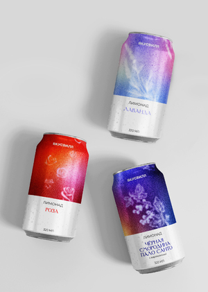 Lemonade Vkusville packaging