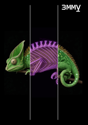 Rebranding of the MGU Zoological Museum