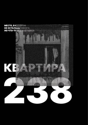 Квартира 238