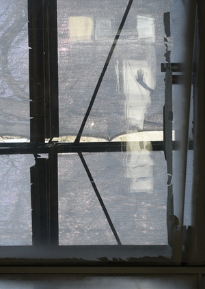 Стадия зазеркалья. Исследование