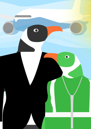 Авиатренажер для Пингвинов