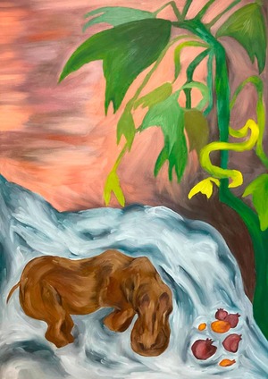 hippo dream