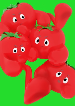 FIGHT TOMATO FEST