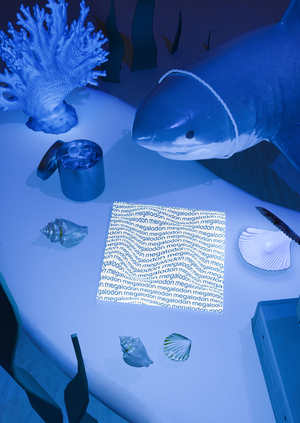 megalodon — книга о пространстве