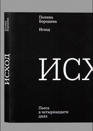 Полина Бородина. Исход