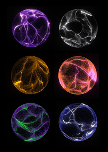 Chromesthesia Chromesthesia