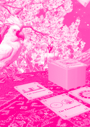 НАЛЕТУ: Сакура Любви