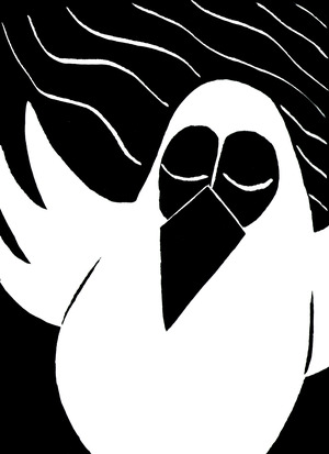 КАК ВОРОН И СОВА ДРУГ ДРУГА ПОКРАСИЛИ