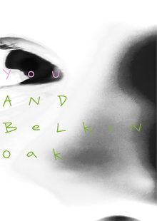 «Belkin Oak» «Belkin Oak»