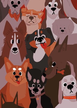 БРИТАНСКИЕ УЧЕНЫЕ УЗНАЛИ, ЧТО СОБАКИ ЗНАЮТ О ЧЕМ...