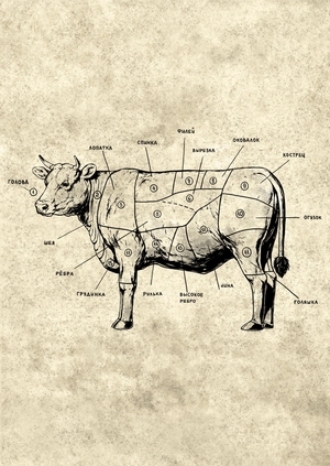 Серия иллюстраций для арт-кафе " Подвалъ Бродячей собаки"
