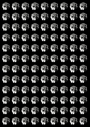 Hundreds of beavers