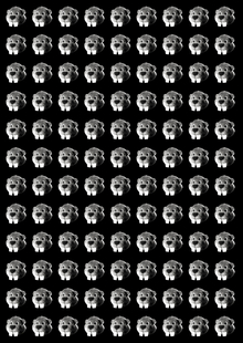 Hundreds of&nbsp;beavers