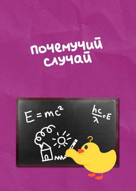 Почемучий случай