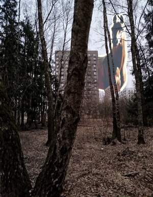 Разработка графической серии «Я люблю лошадей»