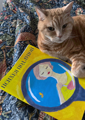 Психея под лупой. Журнал о типах личности