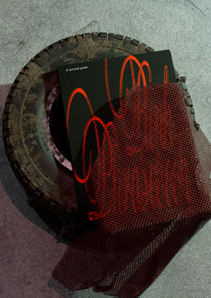 Инструкция по выживанию в ''Punk corner''