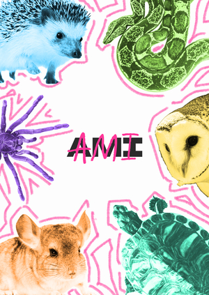 Ami