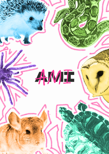 Ami