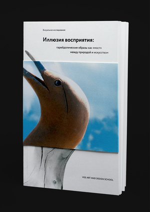 Парейдолические образы как «мост» между природой и искусством