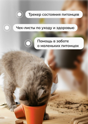 SmartPets – умный подход к здоровью питомцев
