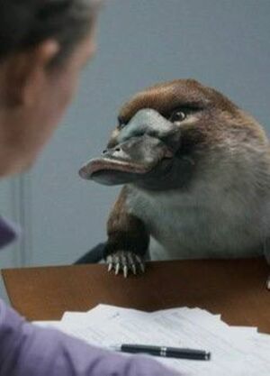 Точка. Меняйся и меняй
