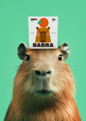 Детские соки Barra
