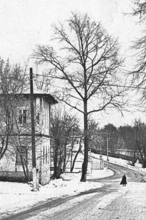 Контрастная зима