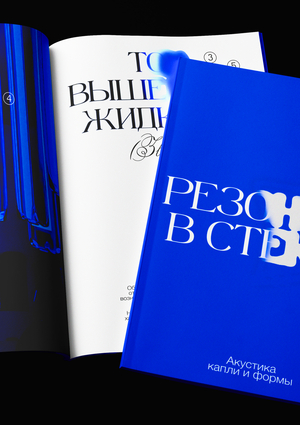 Зин «‎Резонанс в стекле»