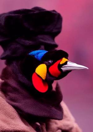 Городские каникулы райской птички // Обучение генеративной нейросети