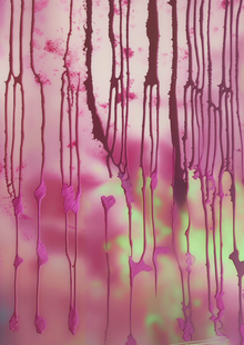 Sit van Hout / Training in Generative Neuronets