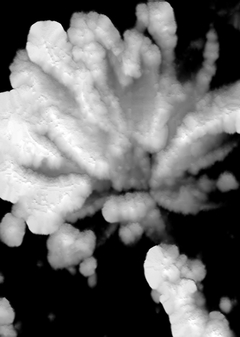 Глава 4. Иллюзорный мир