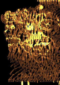 Глава 1. Портал в мир духов, призраков
и других существ