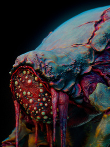 TOI-700d/ ALIEN TOI-700d/ ALIEN
