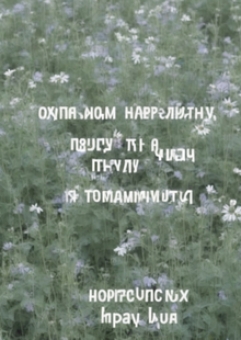 ТЕКСТ ТЕКСТ ТЕКСТ КАРТИНКА ПРИРОДЫ ТЕКСТ ТЕКСТ ТЕКСТ ТЕКСТ ТЕКСТ ТЕКСТ КАРТИНКА ПРИРОДЫ ТЕКСТ ТЕКСТ ТЕКСТ
