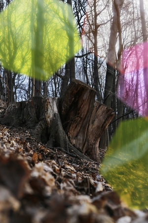 Распад солнечного света