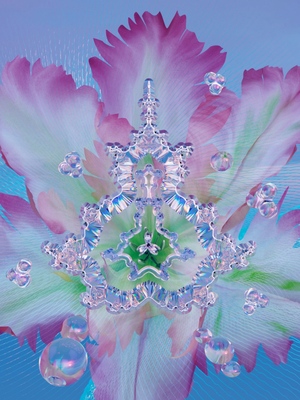 Buddhabrot