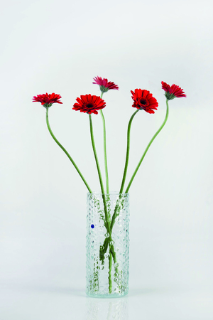 Bubble vase