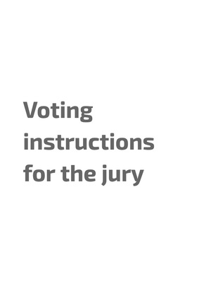Voting instructions for the jury