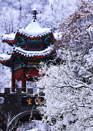 Frosty Fantasy: The Enchanted World of Laojun Mountain