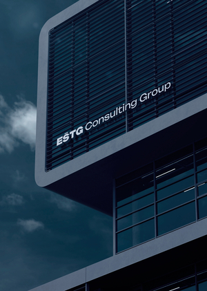 Фирменный стиль для консалтингового агентства "ESTG Consulting Group"