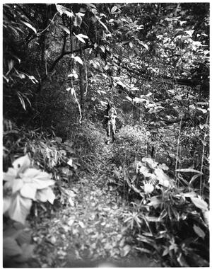 Natura Trails