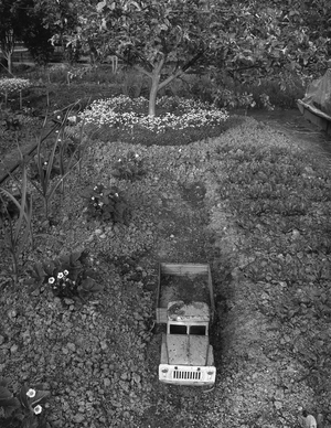 Новый порядок