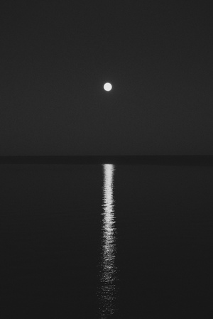 moonshine