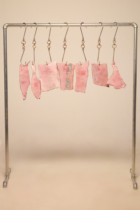 我是一只猪  I Am a Pig