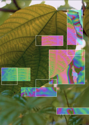 И ночь, и ты