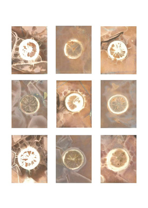 刺激体 Stimulus Body