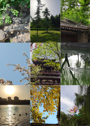Nature in Xi'an